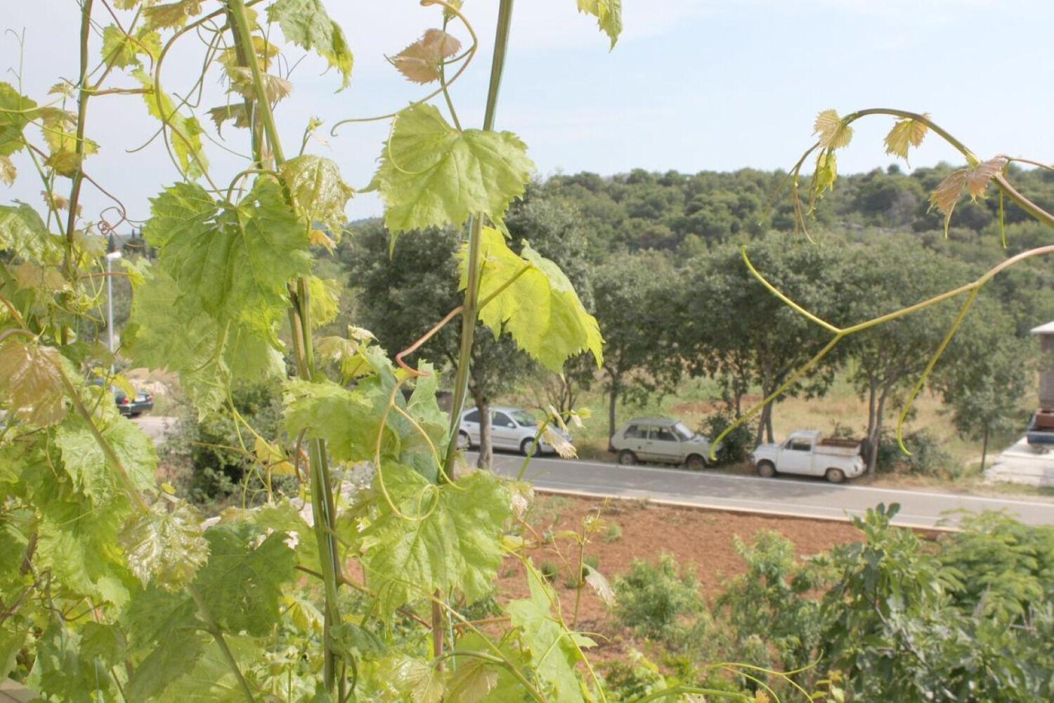 Apartments Slavica - Free Parking 제제라 외부 사진